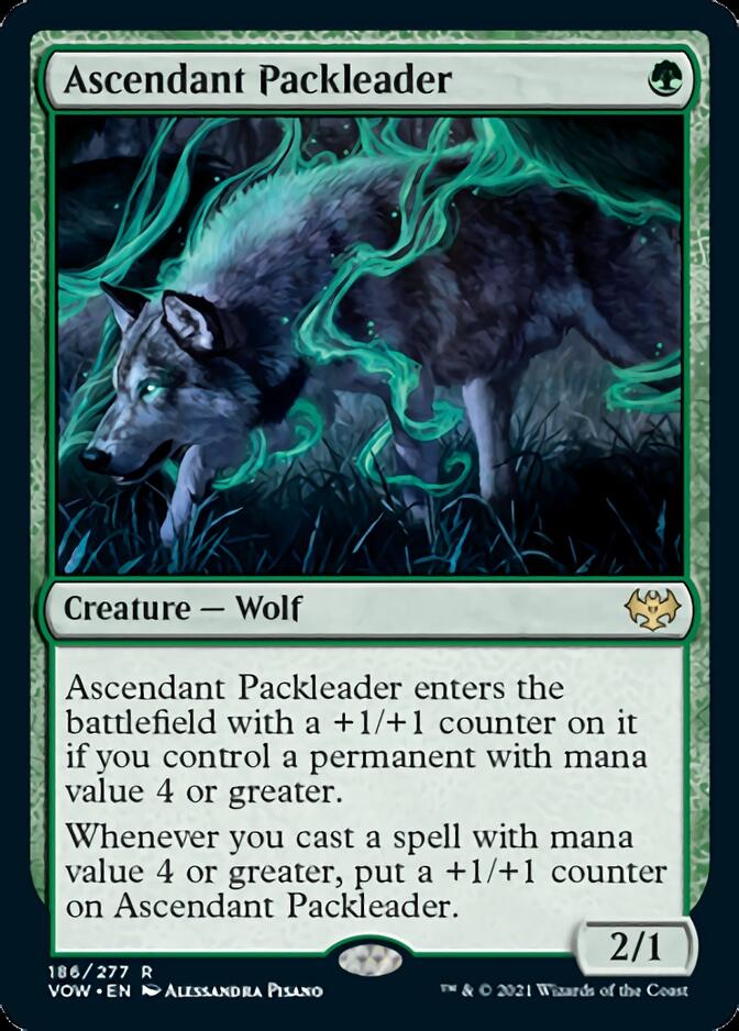 Ascendant Packleader [Innistrad: Crimson Vow] - Magic: The Gathering - Card Brawlers | Quebec | Canada |