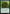 Snapping Gnarlid [Foundations Jumpstart] - Magic: The Gathering - Card Brawlers | Quebec | Canada |