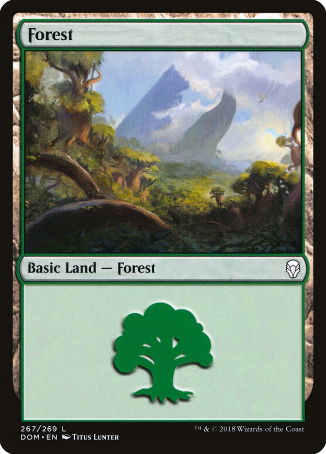 Forest (267) [Dominaria] - Magic: The Gathering - Card Brawlers | Quebec | Canada |
