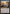 Slip Through Space [Secret Lair: Heads I Win, Tails You Lose] - Magic: The Gathering - Card Brawlers | Quebec | Canada |