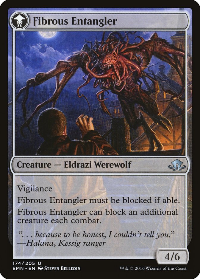 Tangleclaw Werewolf // Fibrous Entangler [Eldritch Moon] - Magic: The Gathering - Card Brawlers | Quebec | Canada |