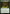 Sylvan Bounty [Archenemy: Nicol Bolas] - Magic: The Gathering - Card Brawlers | Quebec | Canada |