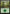 Forest (29) (Elves vs. Goblins) [Duel Decks Anthology] - Magic: The Gathering - Card Brawlers | Quebec | Canada |