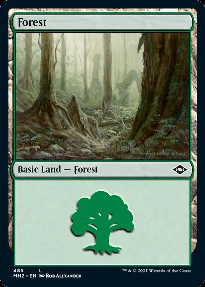 Forest (489) [Modern Horizons 2] - Magic: The Gathering - Card Brawlers | Quebec | Canada |