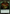 Food // Plant Double-Sided Token [The List] - Magic: The Gathering - Card Brawlers | Quebec | Canada |