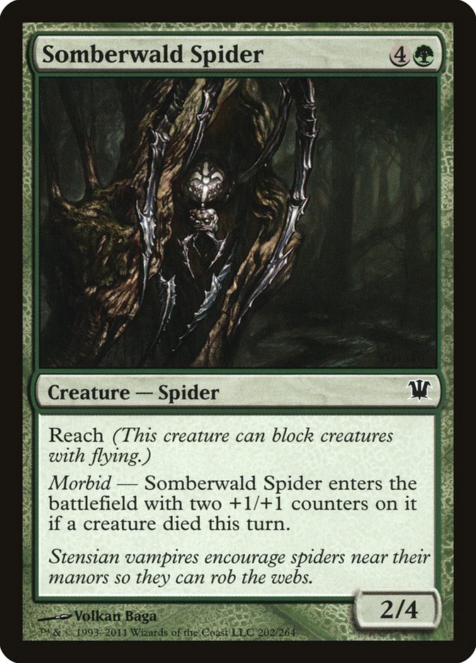 Somberwald Spider [Innistrad] - Magic: The Gathering - Card Brawlers | Quebec | Canada |
