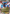 Salamence EX (XY170) [XY: Black Star Promos] - Pokémon - Card Brawlers | Quebec | Canada |