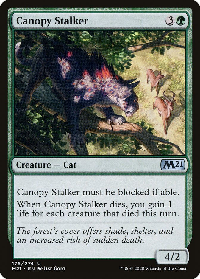 Canopy Stalker [Core Set 2021] - Magic: The Gathering - Card Brawlers | Quebec | Canada |