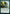 Kodama's Reach [Kamigawa: Neon Dynasty Commander] - Magic: The Gathering - Card Brawlers | Quebec | Canada |