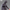 X-Plus - TOHO Kaiju Wars Series - Gigantis Standard Version - (PREORDER) December 15, 2026
