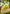 Pikachu V (SWSH061) [Sword & Shield: Black Star Promos] - Pokémon - Card Brawlers | Quebec | Canada |