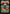 Rites of Flourishing (2074) (Rainbow Foil) [Secret Lair Drop Series] - Magic: The Gathering - Card Brawlers | Quebec | Canada |