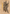 Ancient Brass Dragon Art Card (49) (Gold-Stamped Signature) [Commander Legends: Battle for Baldur's Gate Art Series] - Magic: The Gathering - Card Brawlers | Quebec | Canada |