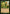 Farseek (Timeshifted) [Time Spiral Remastered] - Magic: The Gathering - Card Brawlers | Quebec | Canada |