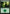 Forest (279) [Core Set 2019] - Magic: The Gathering - Card Brawlers | Quebec | Canada |