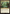 Thriving Grove [Foundations Jumpstart] - Magic: The Gathering - Card Brawlers | Quebec | Canada |