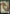 Squirrel Token [Dominaria Remastered Tokens] - Magic: The Gathering - Card Brawlers | Quebec | Canada |
