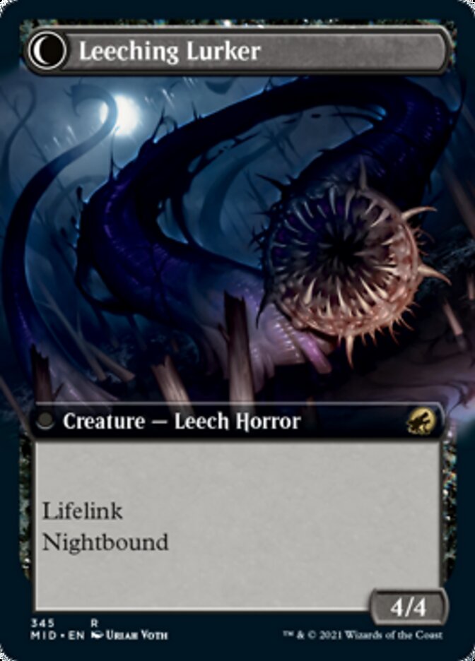 Curse of Leeches // Leeching Lurker (Extended Art) [Innistrad: Midnight Hunt] - Magic: The Gathering - Card Brawlers | Quebec | Canada |