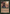 Beast Attack [The List] - Card Brawlers