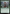 Skola Grovedancer [Duskmourn: House of Horror Commander] - Magic: The Gathering - Card Brawlers | Quebec | Canada |