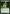 Gatecreeper Vine [Duel Decks: Jace vs. Vraska] - Magic: The Gathering - Card Brawlers | Quebec | Canada |