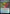 Vexing Puzzlebox [Commander Legends: Battle for Baldur's Gate Prerelease Promos] - Magic: The Gathering - Card Brawlers | Quebec | Canada |