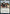 Mavinda, Students' Advocate [Strixhaven: School of Mages Prerelease Promos] - Magic: The Gathering - Card Brawlers | Quebec | Canada |