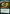 Blex, Vexing Pest // Search for Blex (Extended Art) [Strixhaven: School of Mages] - Card Brawlers