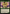 Bloom Tender (Showcase) [Foundations Special Guests] - Card Brawlers