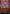 Broadcast Takeover (Showcase) (TMT-234) - Teenage Mutant Ninja Turtles Foil - Card Brawlers
