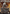 Anti-Venom, Horrifying Healer (Borderless) [Media Promos] - Magic: The Gathering - Card Brawlers | Quebec | Canada |