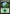 Forest (308) [Commander 2017] - Magic: The Gathering - Card Brawlers | Quebec | Canada |