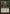 Grinning Totem [Time Spiral Timeshifted] - Magic: The Gathering - Card Brawlers | Quebec | Canada |