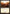 Plains (299) [Commander 2011] - Magic: The Gathering - Card Brawlers | Quebec | Canada |