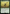 Watchful Radstag (Surge Foil) [Fallout] - Magic: The Gathering - Card Brawlers | Quebec | Canada |