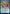 Wizards of Thay [Commander Legends: Battle for Baldur's Gate Prerelease Promos] - Magic: The Gathering - Card Brawlers | Quebec | Canada |