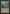 Overlaid Terrain [Nemesis] - Magic: The Gathering - Card Brawlers | Quebec | Canada |