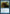 Pin to the Earth [Journey into Nyx] - Magic: The Gathering - Card Brawlers | Quebec | Canada |