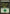 Forest (247) [Magic 2012] - Magic: The Gathering - Card Brawlers | Quebec | Canada |