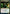 Blood Researcher [Strixhaven: School of Mages] - Magic: The Gathering - Card Brawlers | Quebec | Canada |