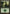 Forest (248) [Magic 2014] - Magic: The Gathering - Card Brawlers | Quebec | Canada |