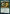 Blex, Vexing Pest // Search for Blex [Strixhaven: School of Mages Prerelease Promos] - Magic: The Gathering - Card Brawlers | Quebec | Canada |