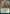 Rigo, Streetwise Mentor [Streets of New Capenna Prerelease Promos] - Magic: The Gathering - Card Brawlers | Quebec | Canada |