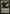 Garruk Relentless // Garruk, the Veil-Cursed [Secret Lair: From Cute to Brute] - Magic: The Gathering - Card Brawlers | Quebec | Canada |