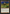 Painter's Servant (Retro) [Judge Gift Cards 2023] - Magic: The Gathering - Card Brawlers | Quebec | Canada |