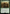 Gunner Conscript [Fallout] - Magic: The Gathering - Card Brawlers | Quebec | Canada |