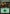 Forest (2019) [MagicFest 2019] - Magic: The Gathering - Card Brawlers | Quebec | Canada |