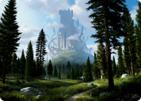 Forest (278) Art Card [Dungeons & Dragons: Adventures in the Forgotten Realms Art Series] - Magic: The Gathering - Card Brawlers | Quebec | Canada |