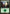 Forest (86) [Duel Decks: Jace vs. Vraska] - Magic: The Gathering - Card Brawlers | Quebec | Canada |