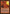 Scattershot [Scourge] - Magic: The Gathering - Card Brawlers | Quebec | Canada |